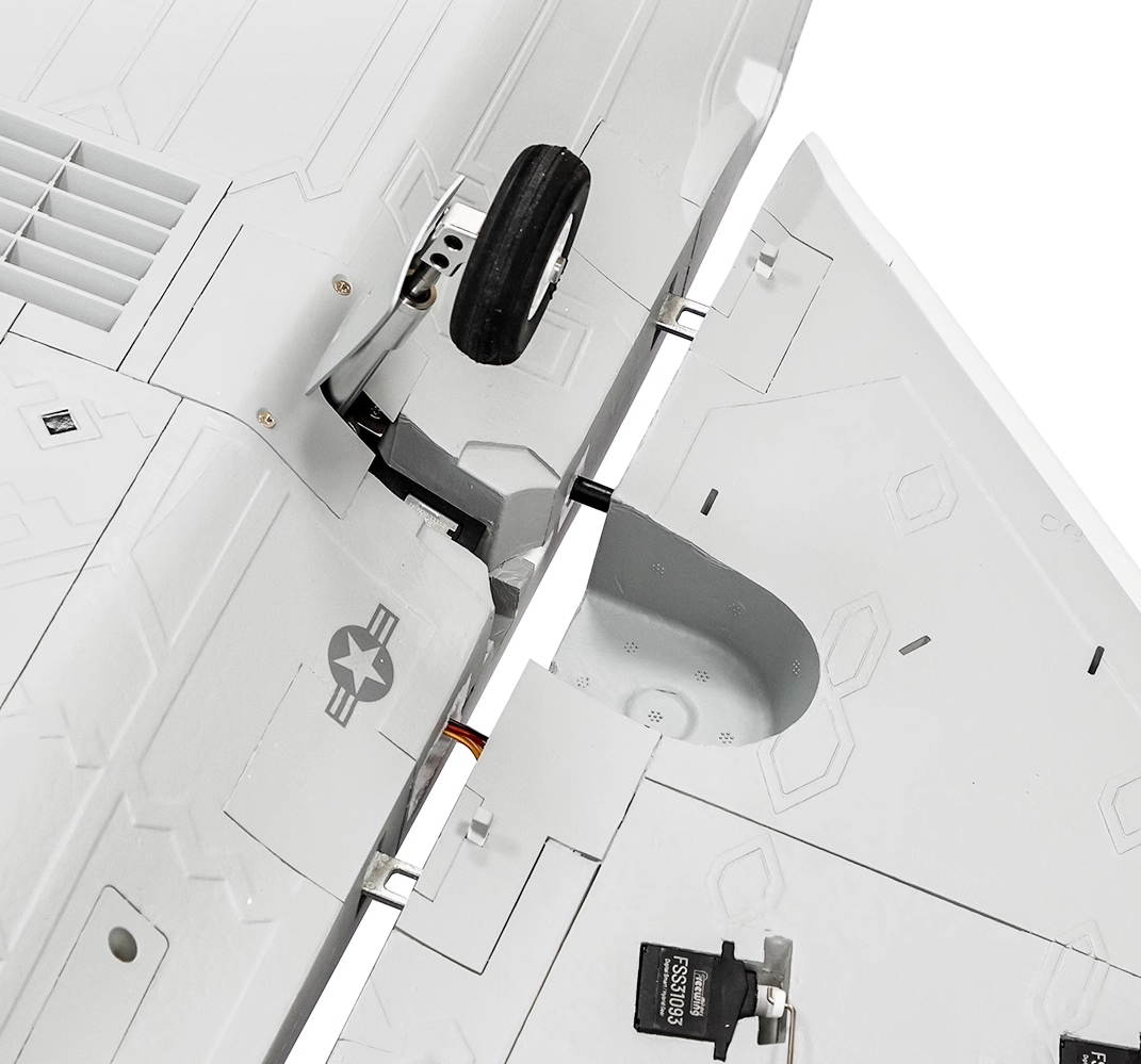 Freewing F-22 Raptor 70mm EDF ARF Plus Jet 